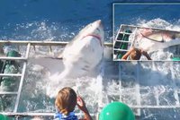 Žralok se prorval k potápěči do klece, pak se všude objevila krev