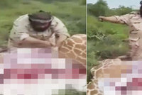 Lovec před kamerou zmasakroval žirafu a oznámil: Teď chci ochutnat slůně!
