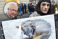 Politici vs. zabíjení zvířat pro kožichy: Kdo chce zákaz a kdo je teď spokojený?