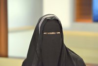 Muslimka skočila na zpěváka a objala ho: Saúdové jí hrozí roky vězení a pokutou půl milionu