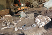 V Číně dynamitem odkryli zkamenělinu dinosaura: Jde o zcela neznámý druh