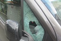 Chodec vypěnil na přechodu v centru Brna: Řidiči rozbil pěstí okénko a utekl