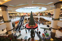 Vánoční horečka vrcholí: Češi vzali obchody útokem, na dračku jdou stromky i elektronika