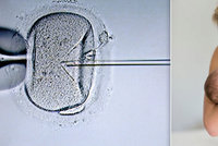 Brexit ztíží i umělé oplodnění. Britové přijdou o snadnou cestu ke spermobankám