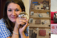 Monika má v domě na Černém Mostě 23 ježků: „Je to zvíře moderní doby,“ říká