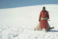 Mrazy v Mongolsku zabíjejí dobytek po tisících. Teploty klesly pod -50 °C