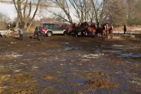 Kruté video: Benešovský statkář najížděl autem do vlastních koní