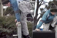 Školáci skákali po hrobech v Oslavanech: Otec dětských výtržníků promluvil!