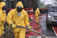 Drůbeží masakr na Chebsku: Veterináři masově vybíjejí zvířata kvůli chřipce