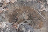 Šok při rekonstrukci tratě: Pod kolejemi ležely desítky let nevybuchlé funkční miny!