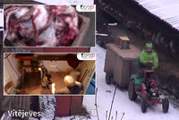 Drastické záběry: Ochranáři zvířat politikům ukázali, jak se zabíjí kožešinová zvířata