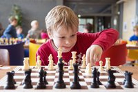 Ve Vinoři se to bude rojit střelci, koňmi i věžemi: Šachový turnaj je otevřený všem