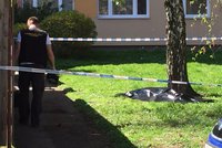 Mrtvola pod okny paneláku v Krči. Kolemjdoucí zaslechla výstřel