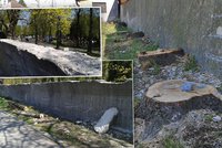 Podél Ďáblického hřbitova vykáceli 46 stromů: Musely ustoupit opravě zdi