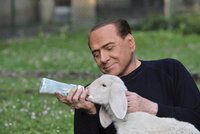 Berlusconi chce zpátky do politiky. „Zachraňuje“ kvůli tomu jehňata