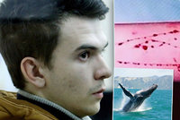 Kluk, který prý založil sebevražednou Modrou velrybu, je ve vězení: Vše podle něj začalo jinak