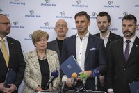 Hejtmanka Stráská odstoupila z kandidátky ČSSD. Nesouhlasí s vyškrtnutím Zimoly