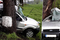 Smrt na sedadle spolujezdce: Auto u Budějovic vyletělo ze silnice přímo do stromu