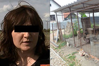 Matka Mirečka (†5), kterého roztrhali psi, je v péči psychiatrů: U soudu obvinila otce