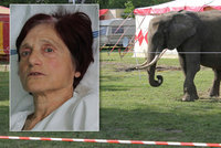 Seniorka ze Zlína chtěla nakrmit cirkusového slona: Zvedl ji do výšky a vážně zranil