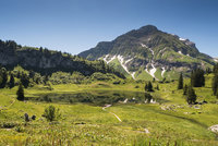 Letní Alpy zvládnou i rodiny s dětmi: Bregenzský les je plný dobrodružství!