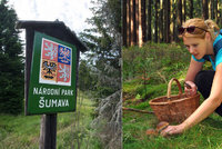 Turisté a houbaři, pozor: Národní parky mají nová pravidla, zavedou zóny klidu