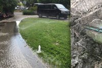 Vandal v Praze 2 ničí vodní trysky a potrubí: V Sadech bratří Čapků stříkala voda