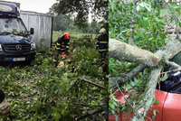 Spadlé stromy, výpadek elektřiny a 300 tisíc blesků: Českem se prohnala bouře