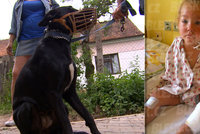 Malou Lilienku (2) pokousal pes: Dívenka se narodila bez rukou