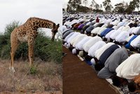 Kdo nebyl muslim, zemřel. V turistické části Keni sťali islamisté devět lidí