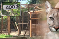 Válka s ilegální zoo, z které utekla puma: Starosta Zvole začal rázně jednat