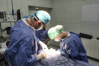 Nemocnice na Bulovce nakoupila léky a implantáty za 800 milionů bez výběrového řízení, ukázal audit