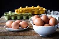Kontrola vajíček před Velikonocemi: Kvůli polským antibiotikům jich bude víc