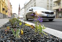Hříšní řidiči v Dolních Počernicích: Auta parkují na trávě. Hrozí vám pokuty, varuje radnice