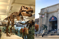 Dinosauři, meteority i drahokamy: Americké přírodovědné muzeum je tak velké, že jeden den nestačí