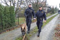 Zloděje objevili majitelé chatky, když byl ještě uvnitř: Policejní pes mu nedal šanci