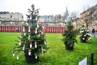 Na náměstí Míru soutěží vánoční stromky zdobené dětmi. Vítěz poputuje do kostela