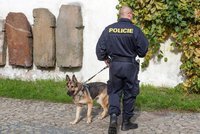 100 milionů na přepravu psů: Policie se chystá nakoupit nová auta