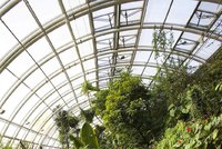 Oslava letního slunovratu v botanické: Odhalovat se budou i taje svatojánských bylin