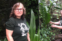 Od klenotů do exotické džungle: Martina (49) se v botanické zahradě stará o rostliny. „Neměnila bych,“ říká
