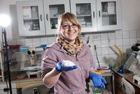Úspěch české vědkyně: Vytvořila geneticky modifikované křečky. Klonuje i myši