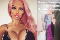 Vážně nemocná česká Barbie s poprsím č. 8: Konec růžové vaty na hlavě!