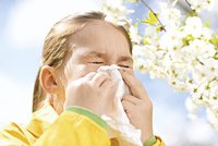 Alergií u dětí mírně ubylo, zato stoupl počet dětských astmatiků