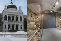 Poznejte Slezsko! Opavské muzeum má přes 2 miliony předmětů ve sbírce