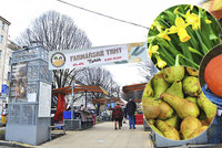 Sezona zahájena: Farmářské trhy na Tyláku dostaly nový kabát, přibudou festivaly jídla i tematické trhy
