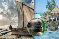 Za nedotčenou exotikou: Objevte Zanzibar, jeden z posledních přírodních rájů na Zemi