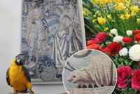 Historické tapisérie, tisíce květin: Na výstavu na Pražském hradu dohlíží i papoušek