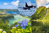 Zelený ráj na pohled: Azory vás uchvátí nadpozemskou přírodou