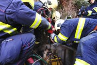 Záchrana z hluboké pasti: Pejsek uvázl ve studni v Hostavicích! Vytáhli ho hasiči