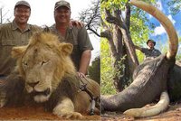Ruský lovec naštval svět: V Zimbabwe zastřelil slona, kterého zkoumali vědci